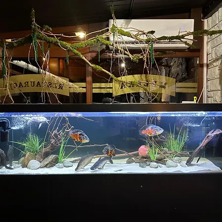 Bed & Breakfast Melaxa Wegierska Gorka