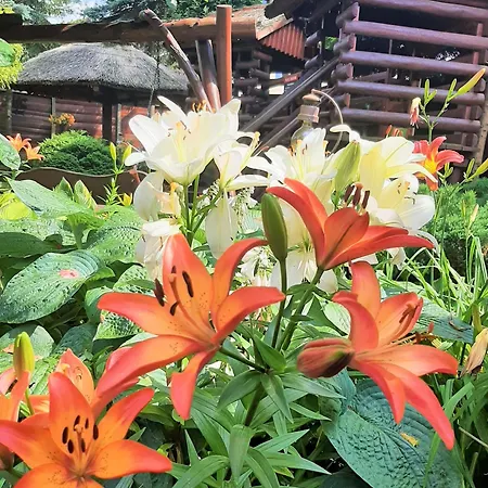 Bed & Breakfast Melaxa