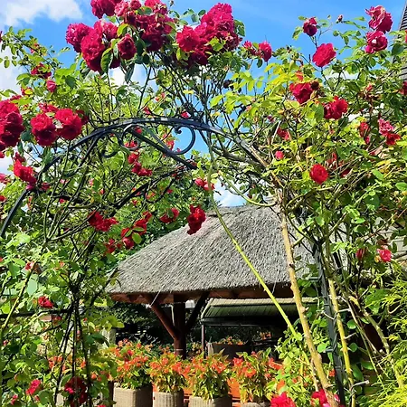 Melaxa 4* Wegierska Gorka