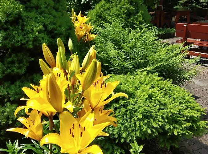 לינה וארוחת בוקר Melaxa