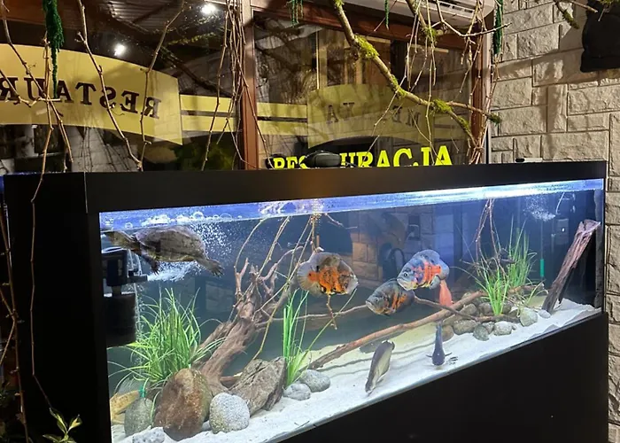 Bed & Breakfast Melaxa