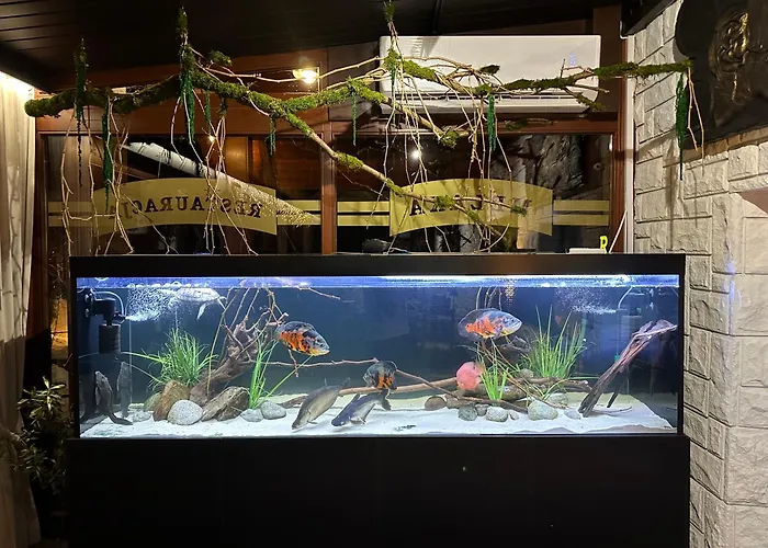 לינה וארוחת בוקר Melaxa וגיירסקה גורקה