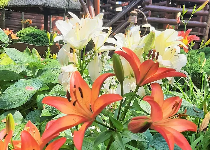 Bed & Breakfast Melaxa