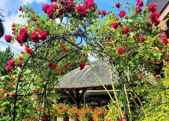 Melaxa 4* וגיירסקה גורקה